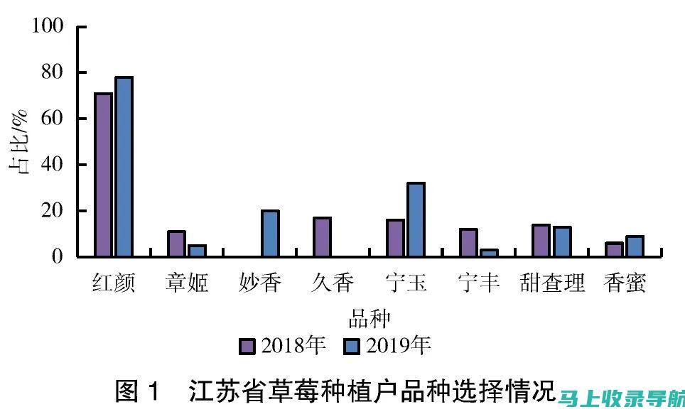 草莓网站数据统计与性能分析，站长指南